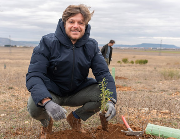 ¿Por qué los árboles y los bosques son tan importantes para el ecosistema?