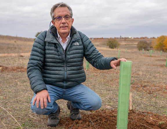 ¿Por qué los árboles y los bosques son tan importantes para el ecosistema?