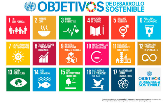 ¿Qué son los Objetivos de Desarrollo Sostenible?