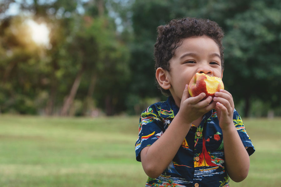 La alimentación, clave para una boca sana en los niños